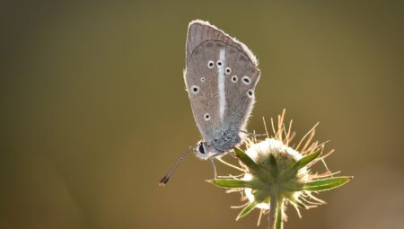 Aydınlatma Kulesi Seçerken Nelere Dikkat Etmeli?